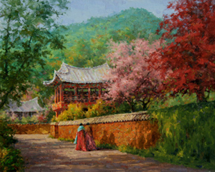 Cherry Blossoms
