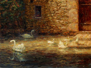 Swans in St. Amand